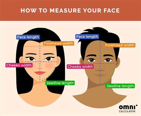 face shape chart calculator tool.